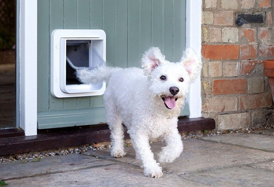 企业微信截图_1718259728204